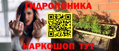 ГАЛЛЮЦИНОГЕННЫЕ ГРИБЫ Краснознаменск