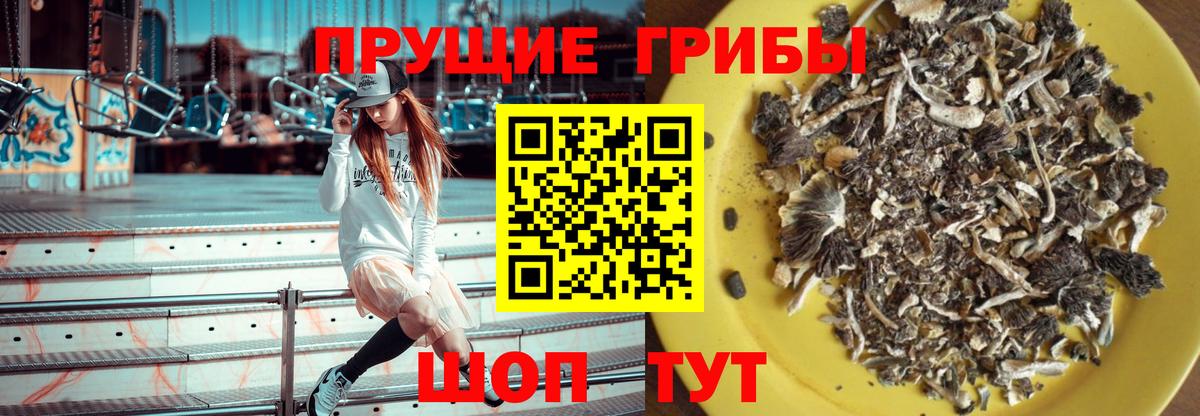 Галлюциногенные грибы Psilocybine cubensis  Вход с VPN  Ишим  Псилоцибиновые грибы MAGIC MUSHROOMS 